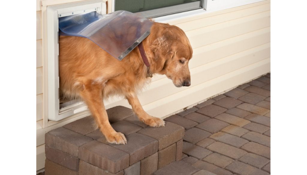 Hundeklappe