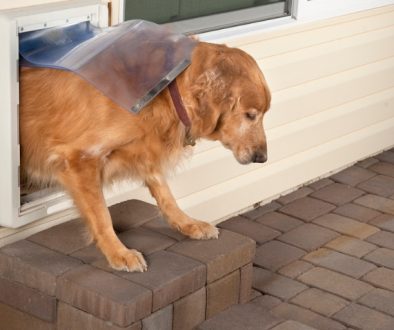 Hundeklappe