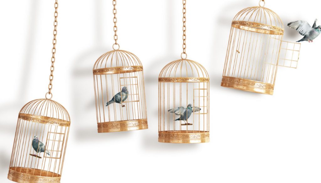 Vogelkäfig