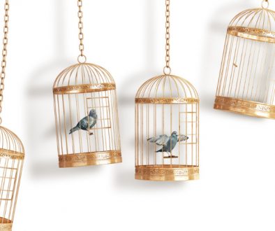 Vogelkäfig