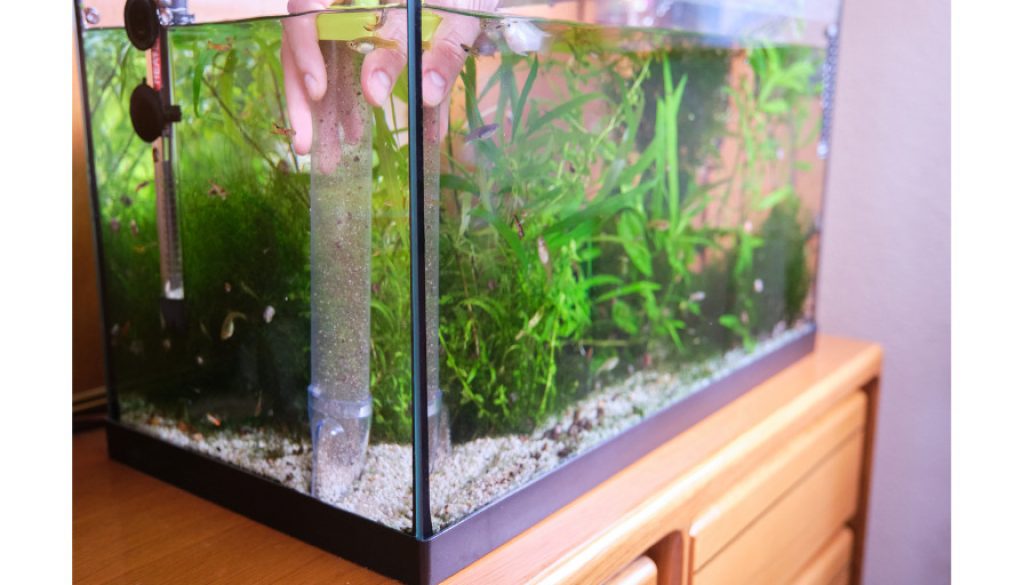 Aquarium Komplettset