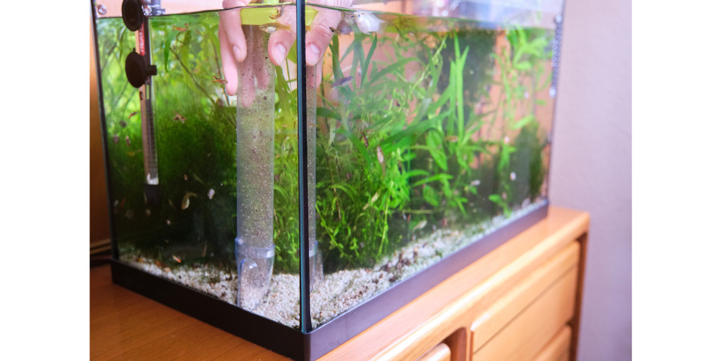 Aquarium Komplettset
