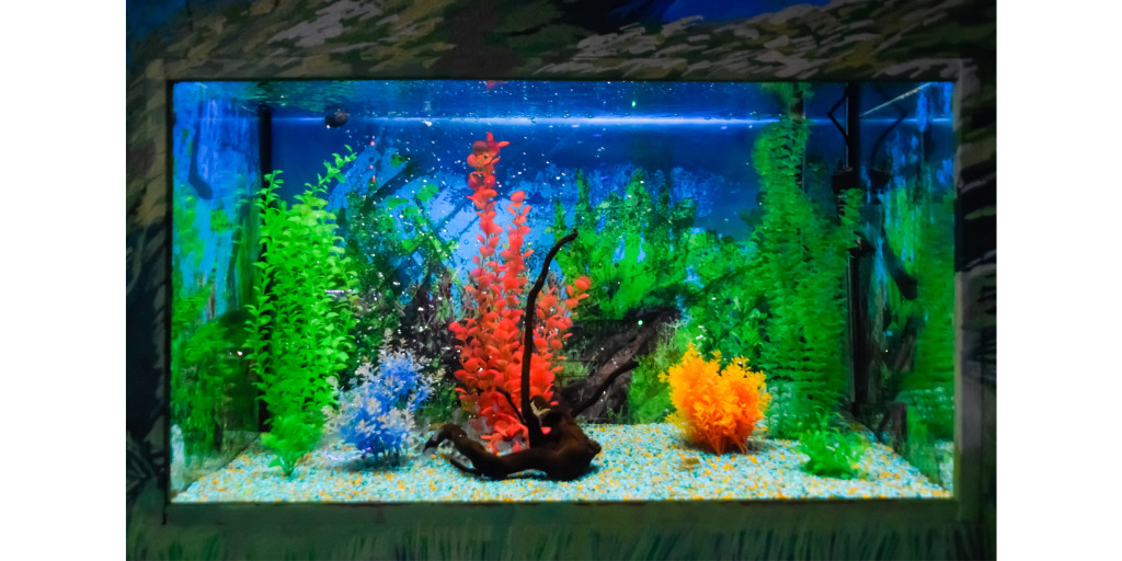Meerwasseraquarium Komplettset