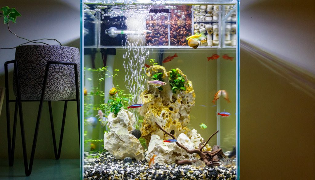 Nano Aquarium