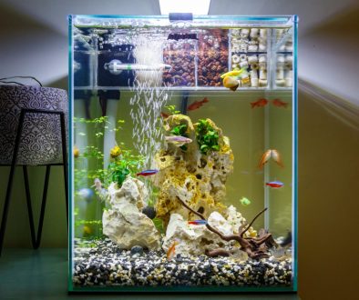 Nano Aquarium