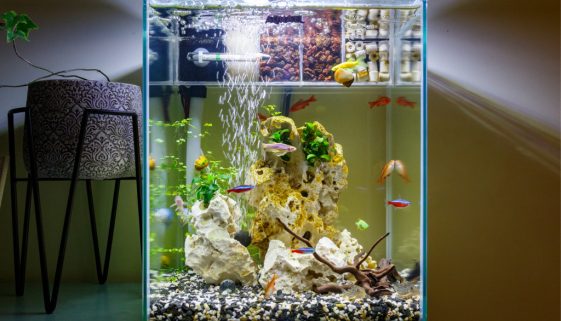 Nano Aquarium