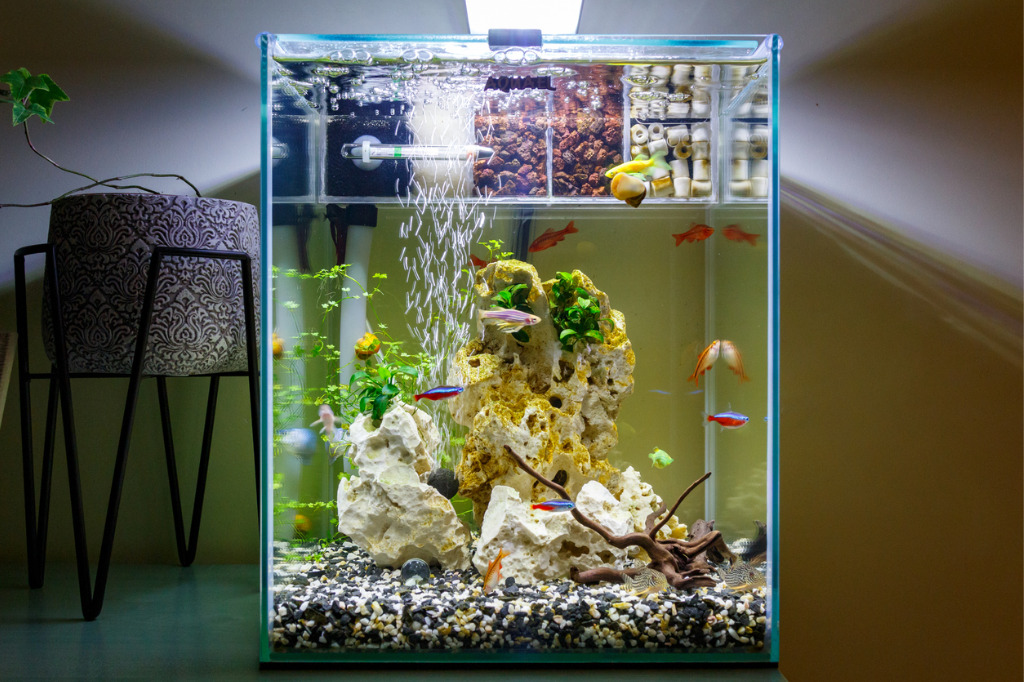 Nano Aquarium