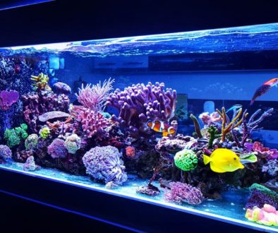 Aquarium