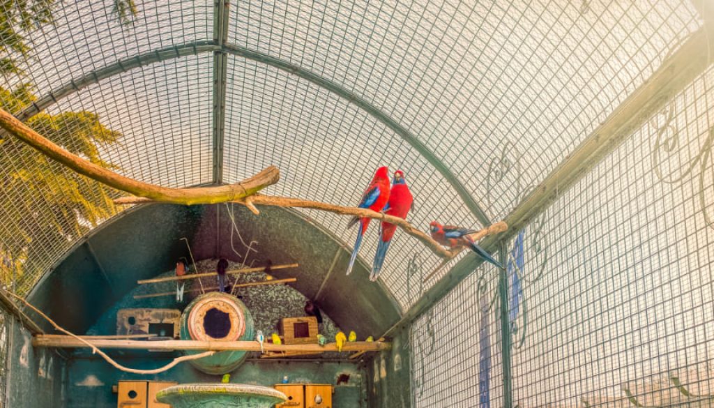 Vogelvoliere