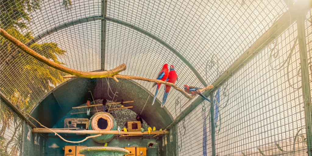 Vogelvoliere
