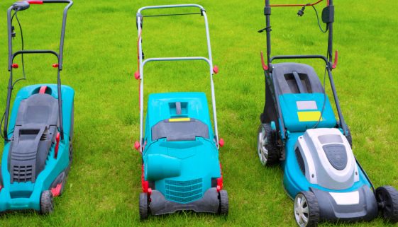 Elektro-Rasenmäher